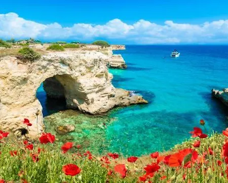 Casa Anna Appartement